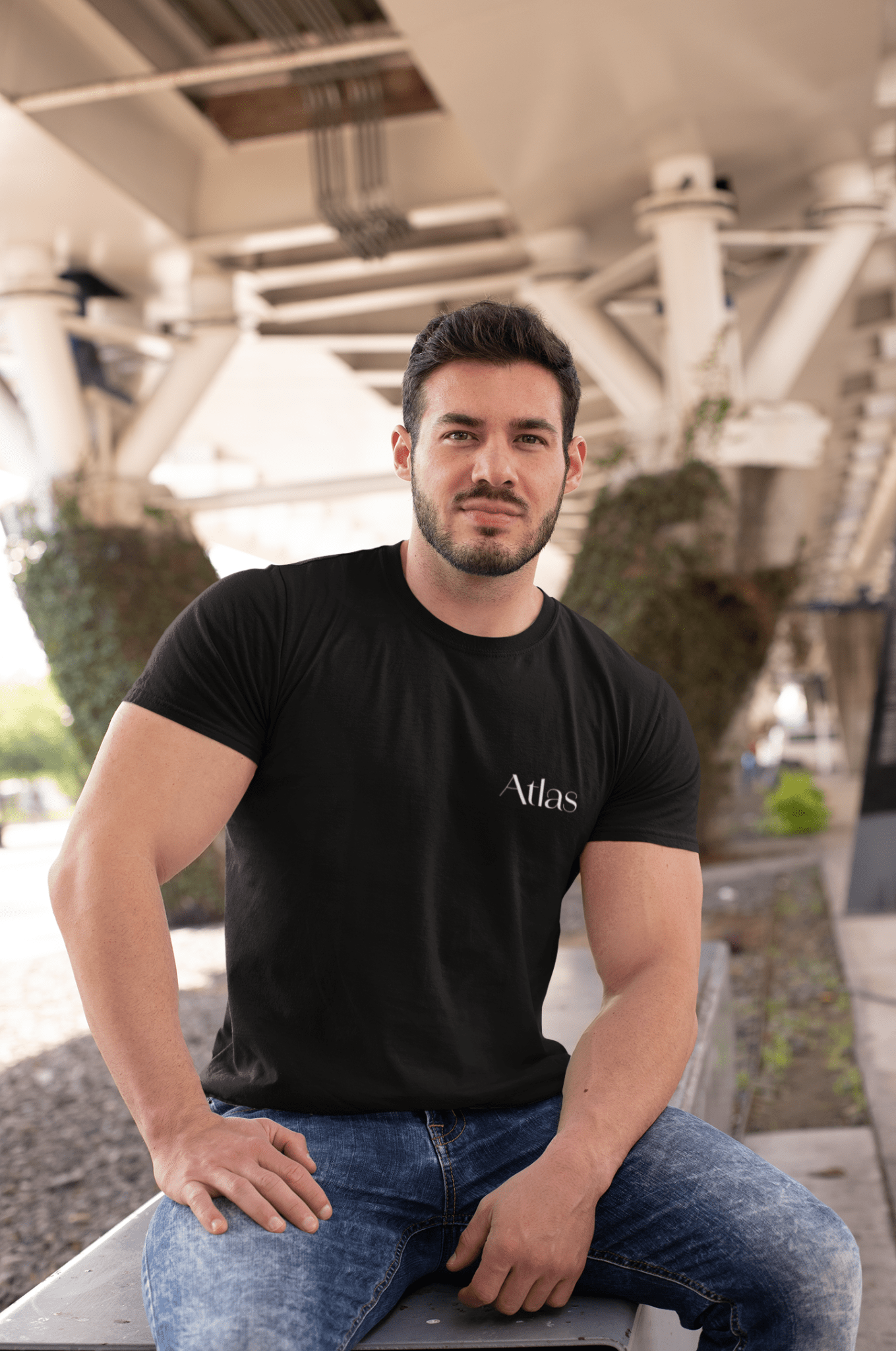 Atlas Holding the World - Atlas Store